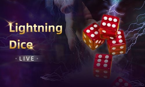 Responsible gaming and privacy reminders presented within the xx99 platform guide